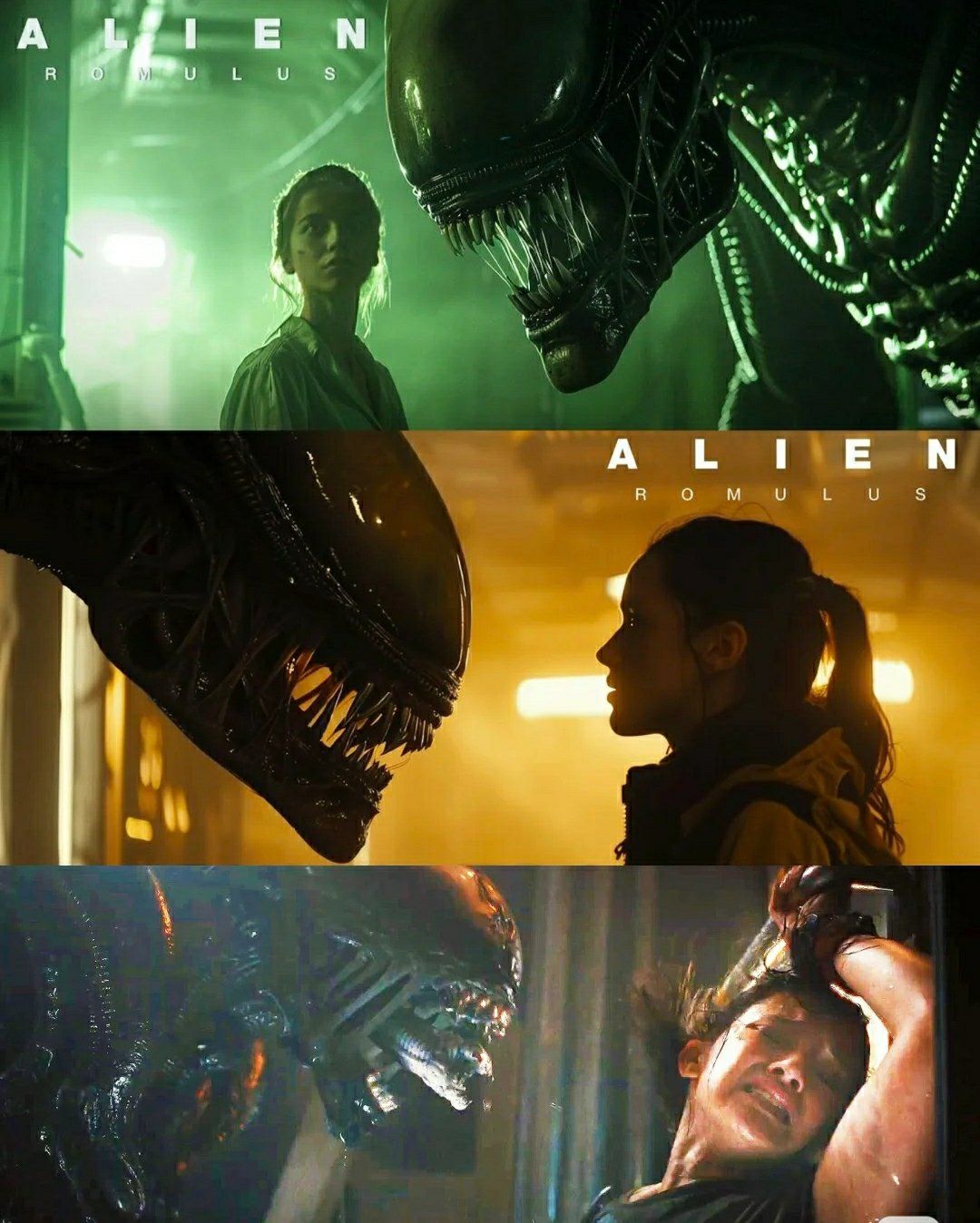 《异形》与1986年的续集《异形2》之间,讲了一群太空殖民者为逃离外星