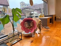 -南枝小馆(银鱼巷店)