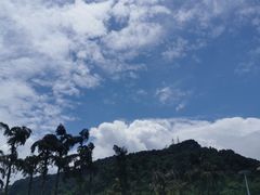 -重庆海昌加勒比海水世界