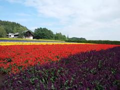 -富田农场