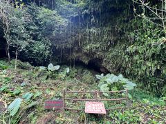 -海口火山口国家地质公园