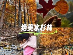 -白水寺森林公园