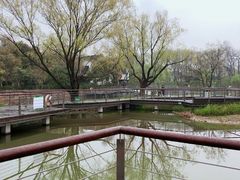 -王记姚家味·地道苏帮菜(凤凰街店)