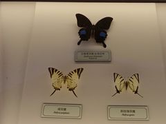 -浦乐汇·汤泉水世界