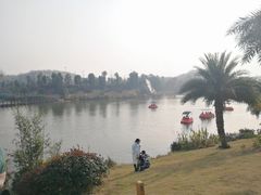 -枫香湖儿童公园