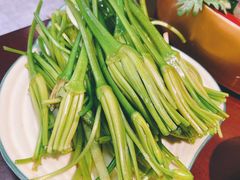 -菌之家·专业纯野生菌火锅·特色炒菌