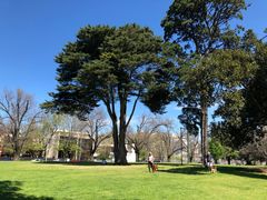 -墨尔本皇家植物园