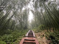 -蜀南竹海景区