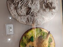 -辽宁古生物博物馆