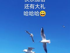 -海埂大坝
