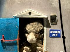 -屋有岛沉浸游戏旗舰店(中山公园店)