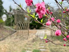 -武汉紫薇都市田园