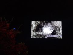-黑桃K生日订制KTV