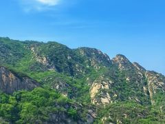 -大岭沟猕猴桃谷风景区