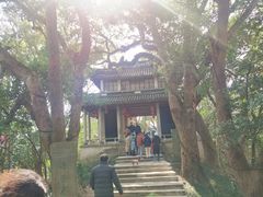 -溪口-滕头旅游景区