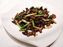 葱爆鸡枞菌-民国红公馆·秦淮八艳(夫子庙店)