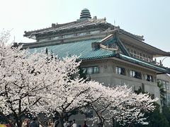 -武汉大学-樱园