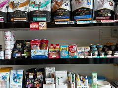 -凯特喵百思猫专科医院