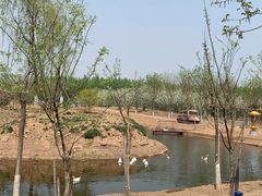 -东郊湿地公园