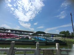 -莲花池公园