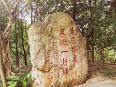 -深圳国际园林花卉博览园