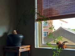 -清水茶舍·茶空间