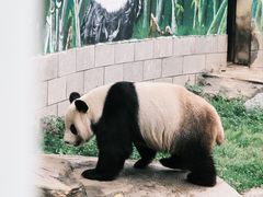-南昌动物园