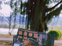 -星湖旅游景区七星岩