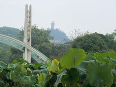 -南山植物园