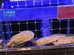 -小满海鲜·别院(天津旗舰店)