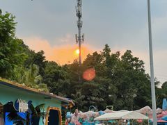 -重庆海昌加勒比海水世界