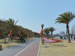 -野狸岛