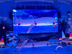 -海合安武汉极地海洋公园