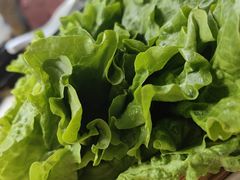 -老卜奎齐齐哈尔烤肉(人民东路店)