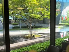 -青麦家·融合餐厅(江岛智立方店)
