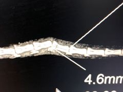 -瑞派·关忠动物医院·异宠专科·犬猫肿瘤·皮肤专科(望京店)