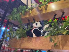 -潮辣重庆火锅(滑县金地广场店)