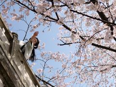 -苏州上方山国家森林公园