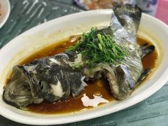 清蒸斑鱼-渔人金景(湛江·渔人码头店)