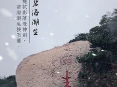 -桃花岛风景旅游区