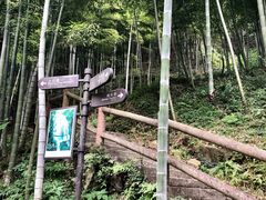 -藏龙百瀑风景区