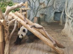 -深圳野生动物园