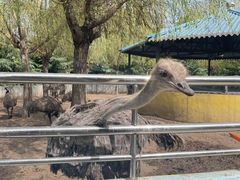 -龙口动植物园