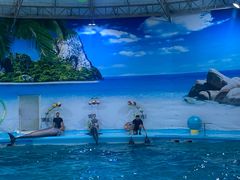 -尼莫海豚馆