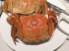 -青蓬蒸汽海鲜·深圳老字号·团建聚会(壹方城店)