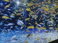 -成都浩海立方海洋公园