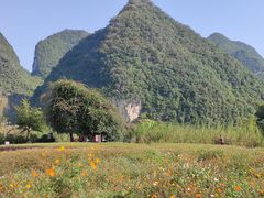 -靖西鹅泉风景区