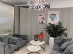 -八佰伴8008星级形象店