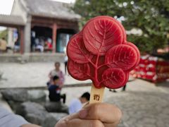 -香山公园