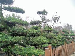 -郫都区农科村景区